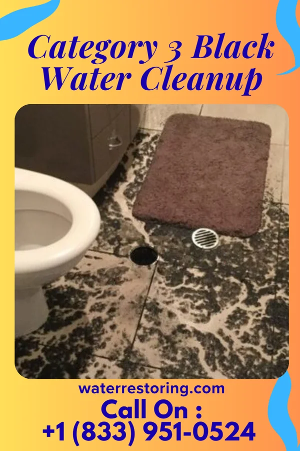 Category 3 Black Water Cleanup in North Gates, NY