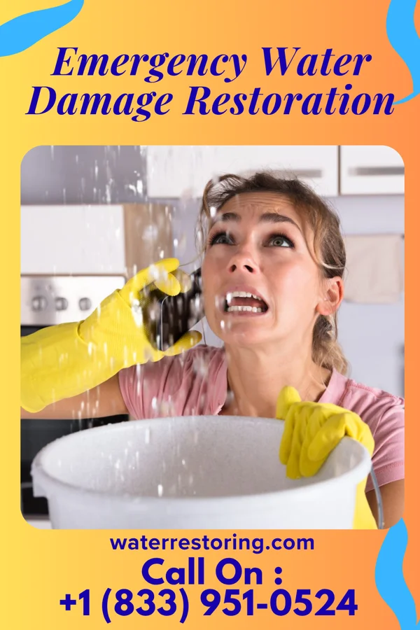 Emergency Water Damage Restoration in North Gates, NY