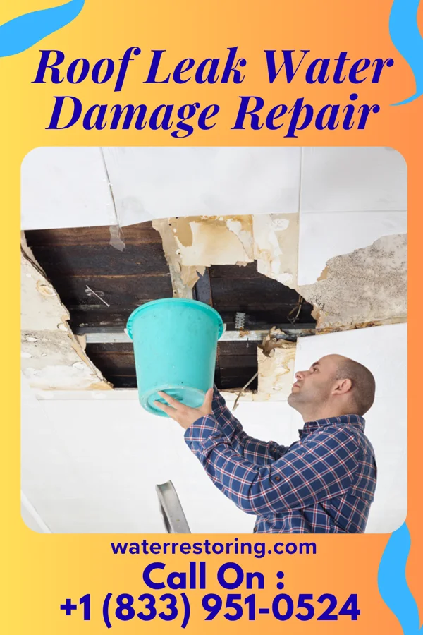 Roof Leak Water Damage Repair in North Gates, NY