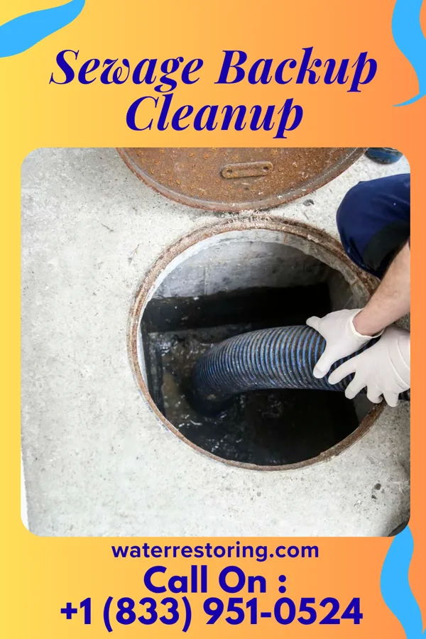 Sewage Backup Cleanup in North Gates, NY