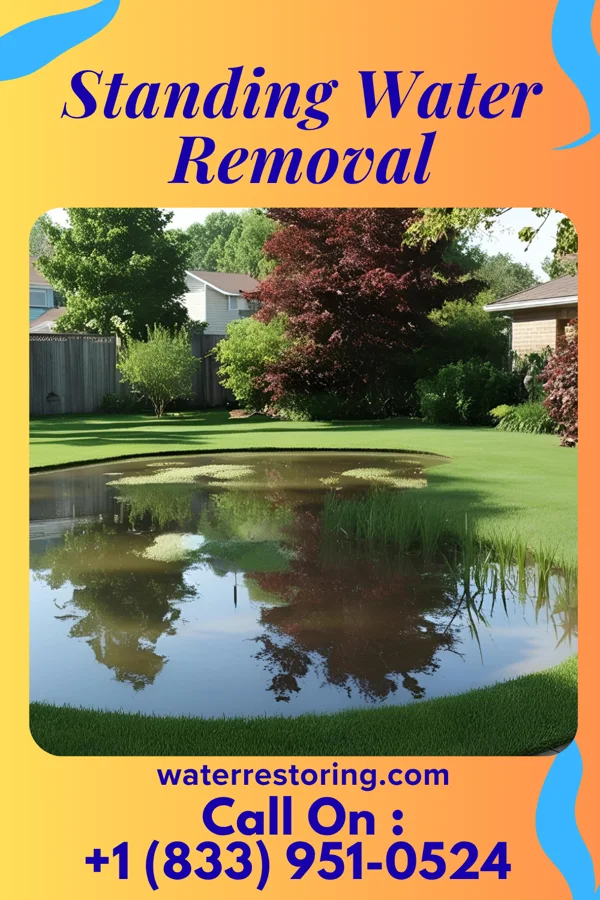 Standing Water Removal in North Gates, NY